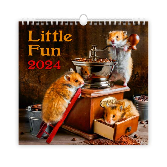 Nástenný kalendár Little Fun 2024