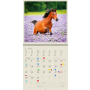 Nástenný kalendár Horses 2024